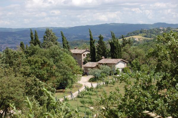 view of the Arboreal Archaeology Park with hermitage and nursery